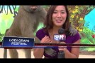The Best News Bloopers Of 2013
