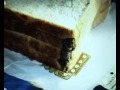 Dead Mouse Found Baked Into Loaf Of Bread