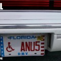 Handicapped Anus