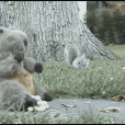 Ninja Squirrel Gets ALL The Nuts