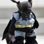 A Puppy Dressed as Batman