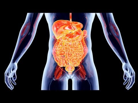 10 Disgusting Facts About The Human Body